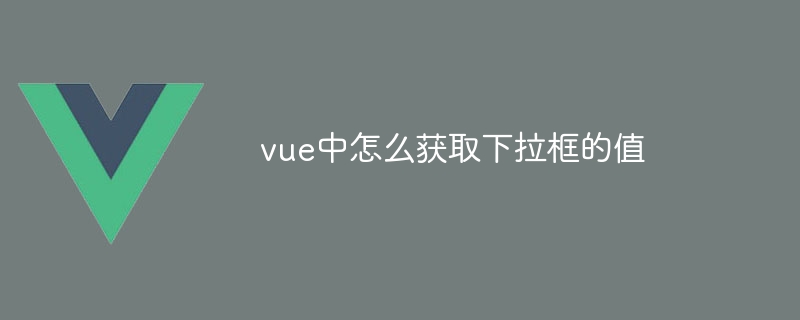 vue中怎么获取下拉框的值