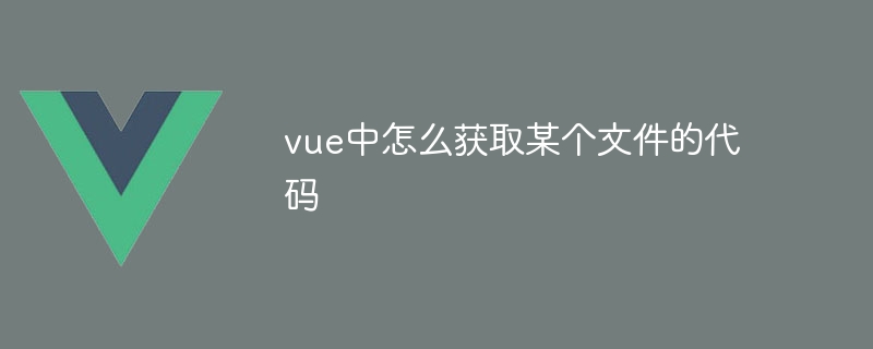 vue中怎么获取某个文件的代码