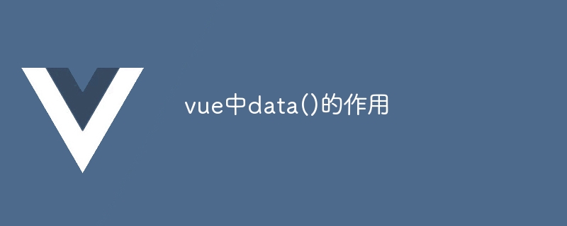 vue中data()的作用