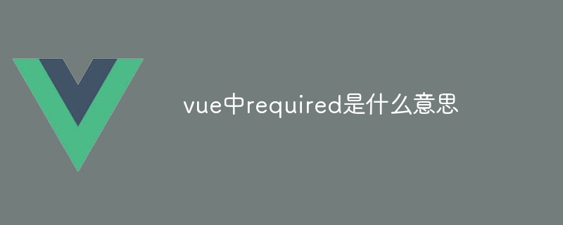 vue中required是什么意思