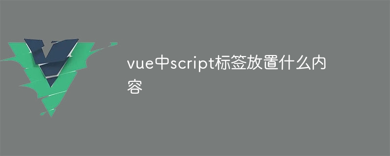 vue中script标签放置什么内容