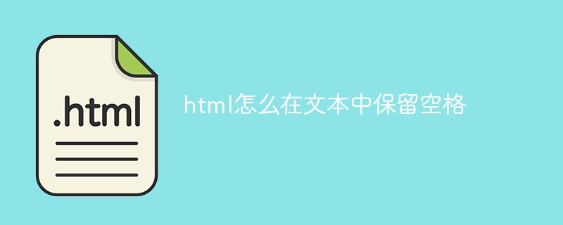 html怎么在文本中保留空格