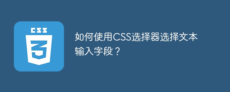 如何使用css选择器选择文本输入字段？