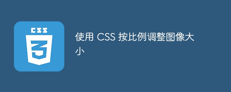 使用 css 按比例调整图像大小