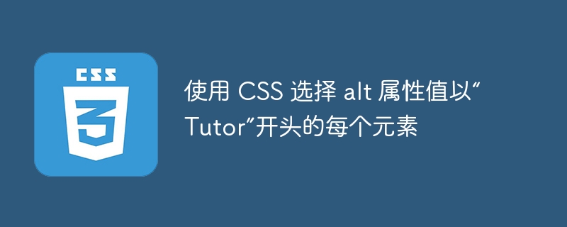 使用 css 选择 alt 属性值以“tutor”开头的每个元素