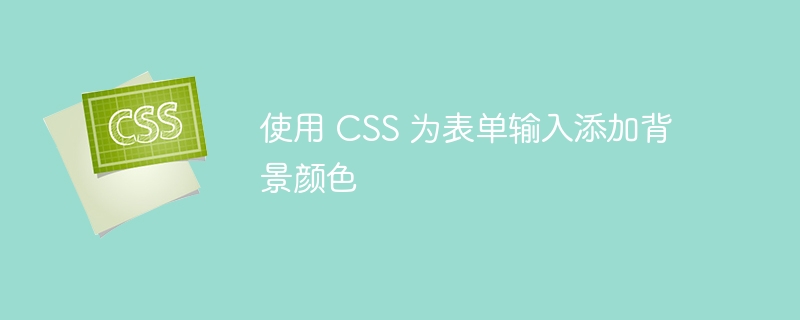 使用 css 为表单输入添加背景颜色