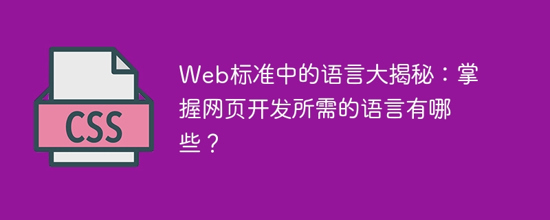 web标准中的语言大揭秘：掌握网页开发所需的语言有哪些？