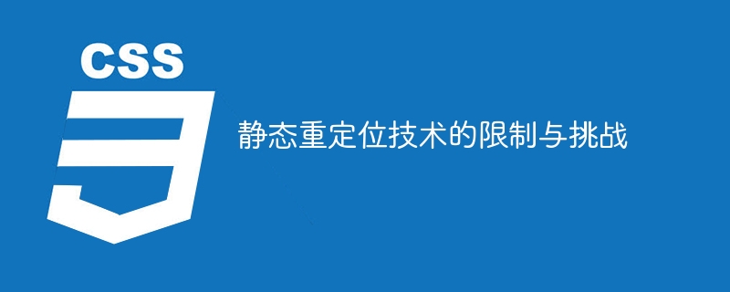 静态重定位技术的限制与挑战