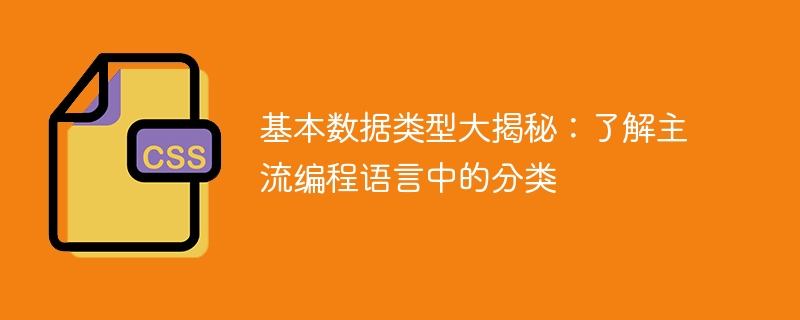 基本数据类型大揭秘：了解主流编程语言中的分类