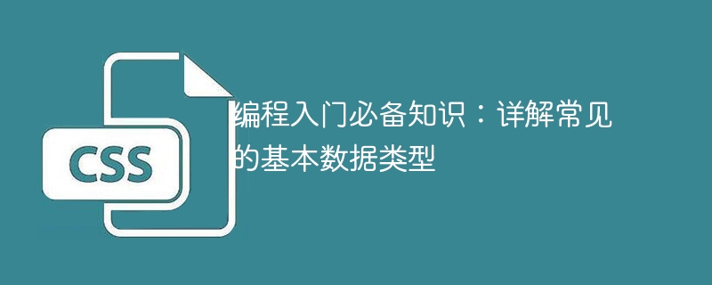 编程入门必备知识：详解常见的基本数据类型