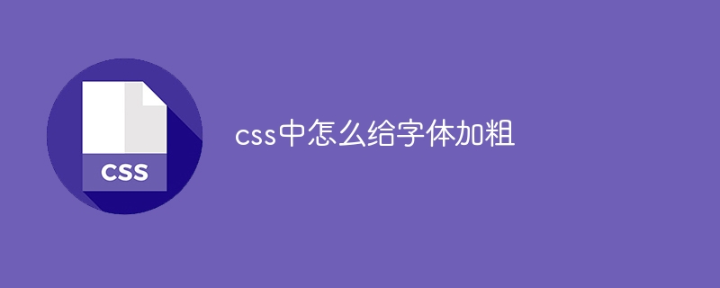 css中怎么给字体加粗