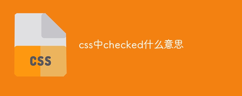 css中checked什么意思