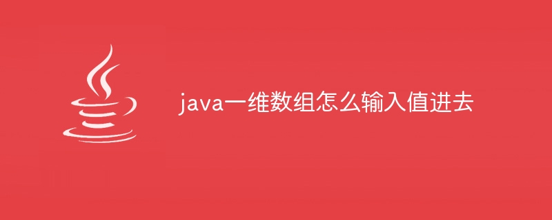 java一维数组怎么输入值进去