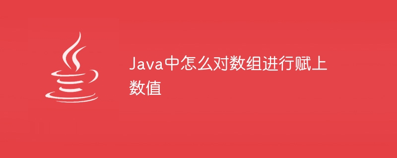 Java中怎么对数组进行赋上数值