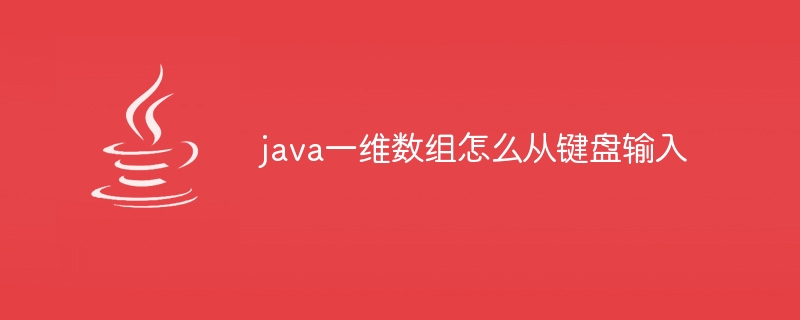 java一维数组怎么从键盘输入