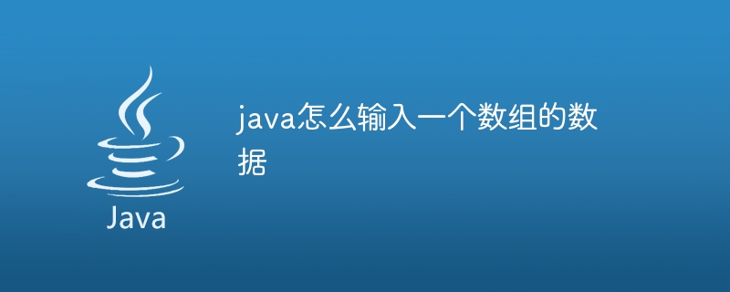 java怎么输入一个数组的数据