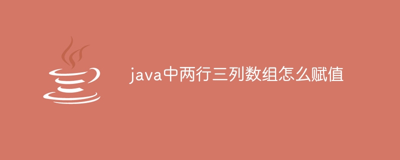 java中两行三列数组怎么赋值