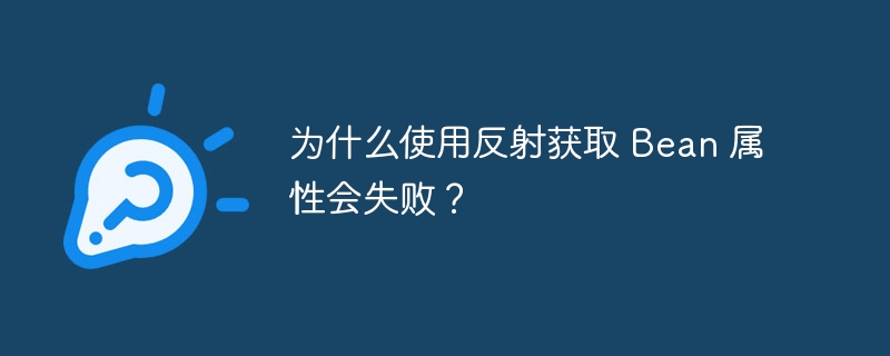 为什么使用反射获取 bean 属性会失败？