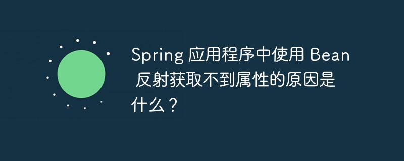 spring 应用程序中使用 bean 反射获取不到属性的原因是什么？