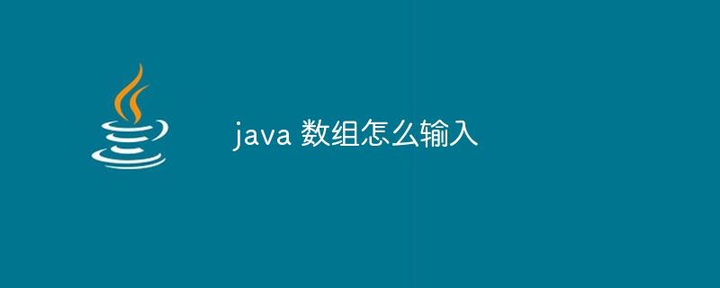 java 数组怎么输入