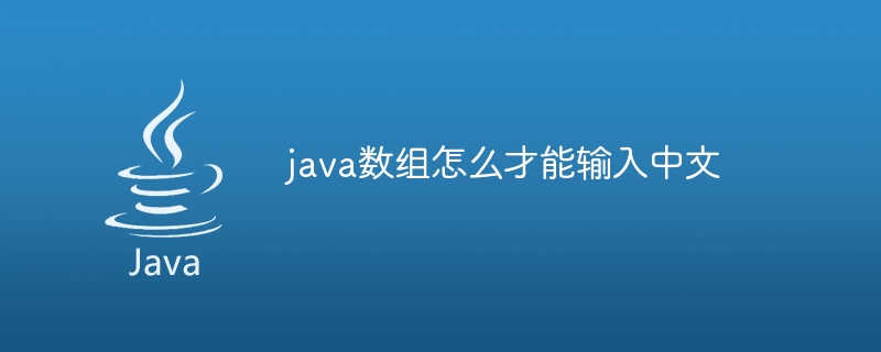 java数组怎么才能输入中文