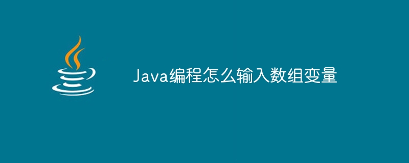 Java编程怎么输入数组变量