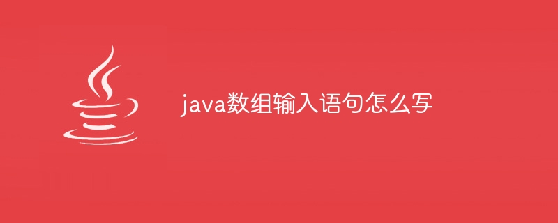 java数组输入语句怎么写