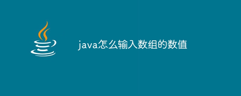 java怎么输入数组的数值