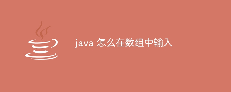 java 怎么在数组中输入