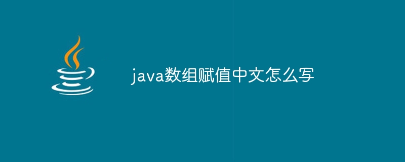 java数组赋值中文怎么写