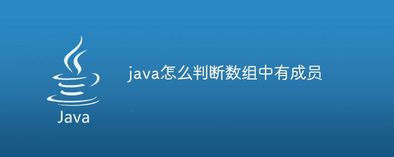 java怎么判断数组中有成员