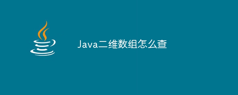 Java二维数组怎么查