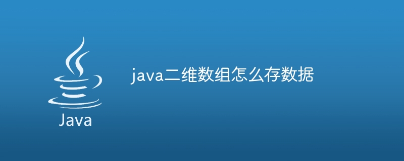 java二维数组怎么存数据