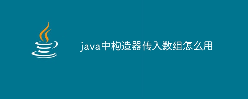 java中构造器传入数组怎么用