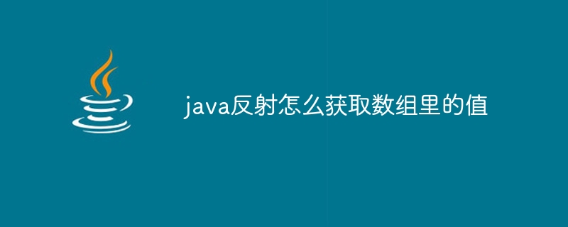 java反射怎么获取数组里的值