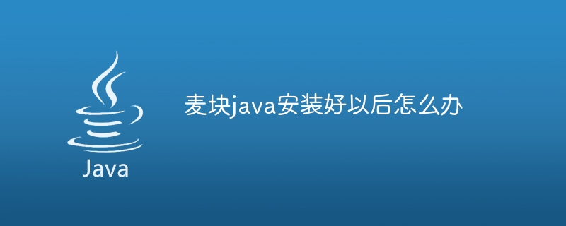 麦块java安装好以后怎么办