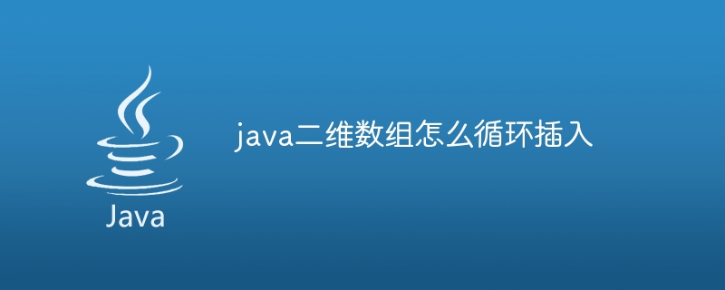 java二维数组怎么循环插入