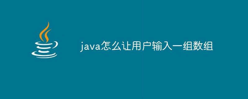 java怎么让用户输入一组数组