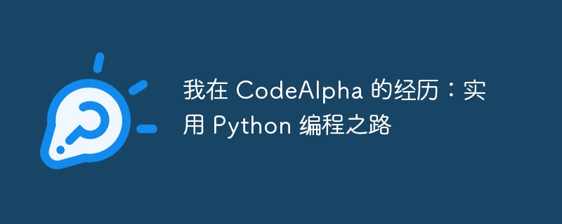 我在 codealpha 的经历：实用 python 编程之路