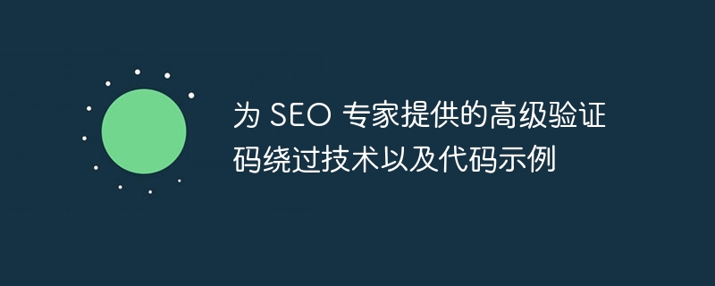 为 seo 专家提供的高级验证码绕过技术以及代码示例