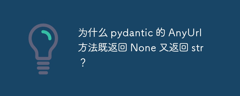 为什么 pydantic 的 anyurl 方法既返回 none 又返回 str？