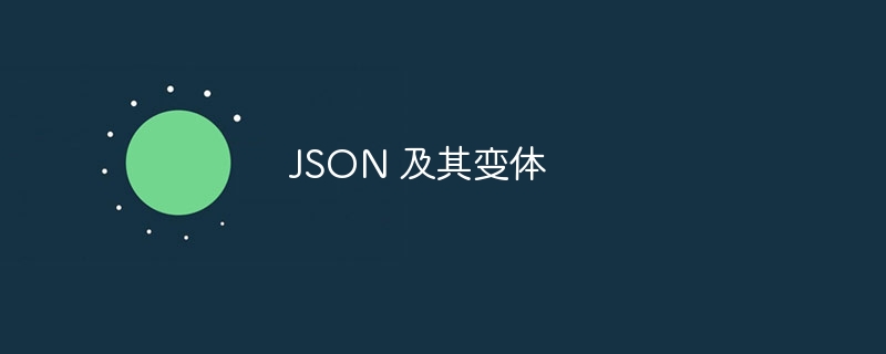 json 及其变体