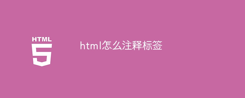 html怎么注释标签