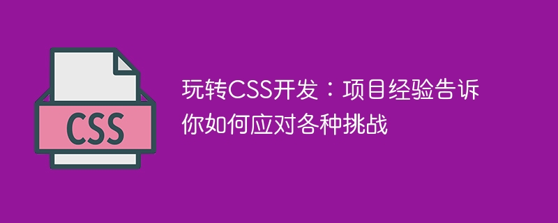 玩转css开发：项目经验告诉你如何应对各种挑战