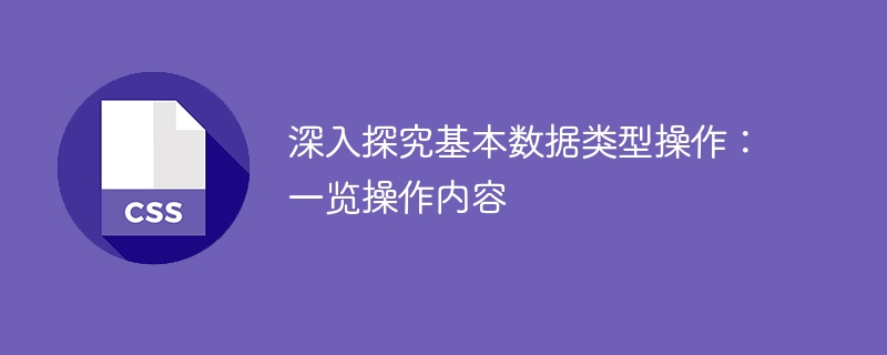 深入探究基本数据类型操作：一览操作内容