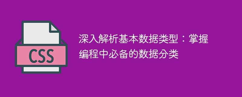 深入解析基本数据类型：掌握编程中必备的数据分类