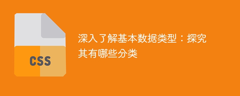 深入了解基本数据类型：探究其有哪些分类