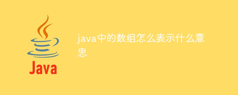 java中的数组怎么表示什么意思