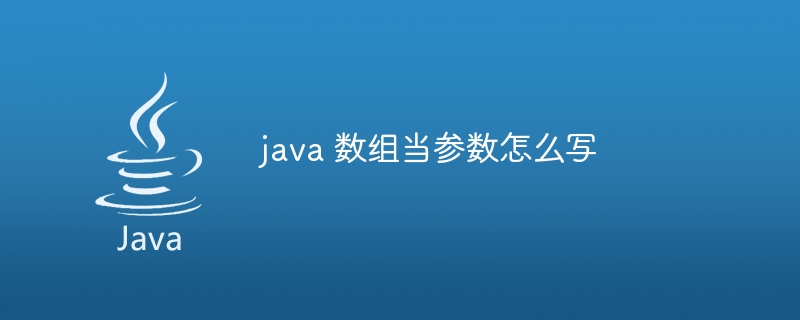 java 数组当参数怎么写