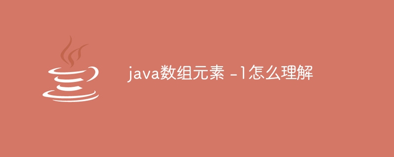 java数组元素 -1怎么理解